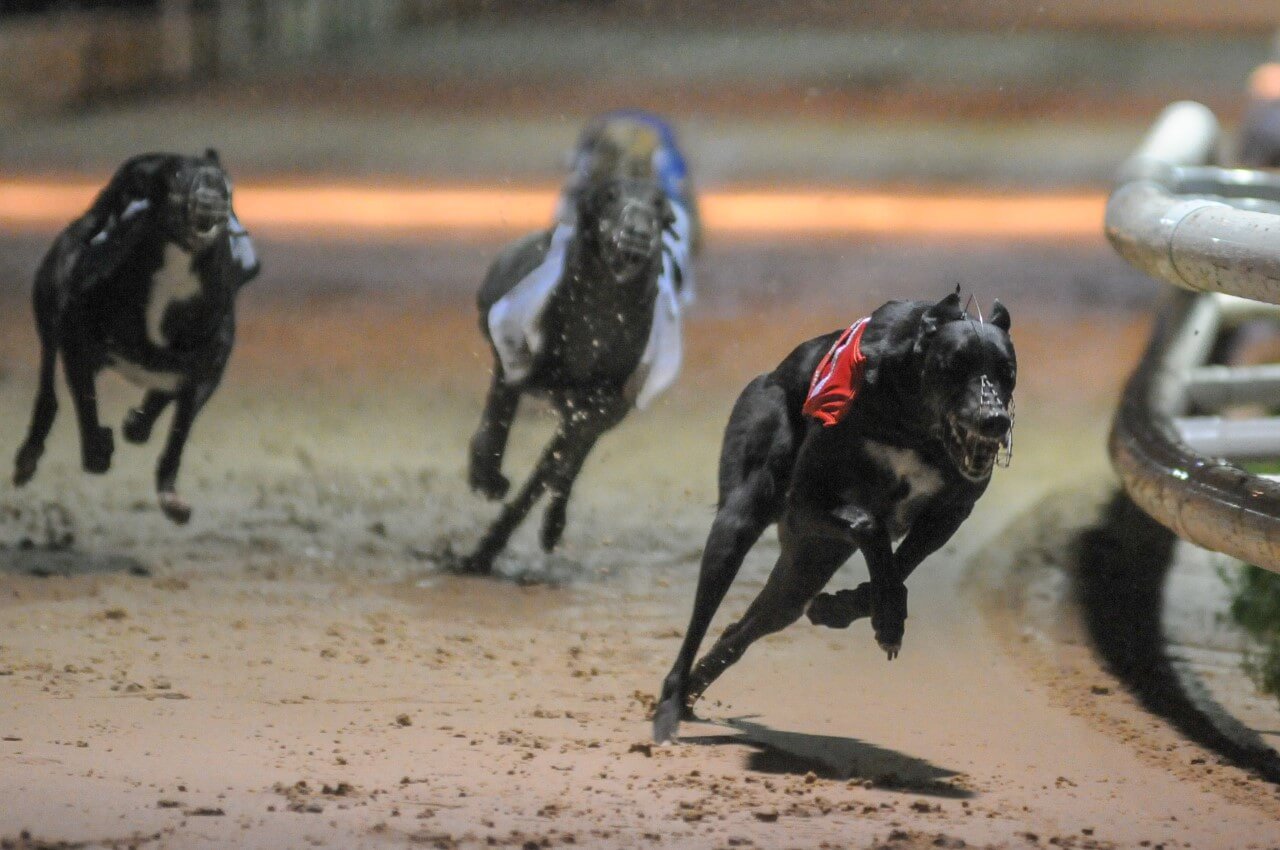 Bull Run Byte Wins English Oaks 2019