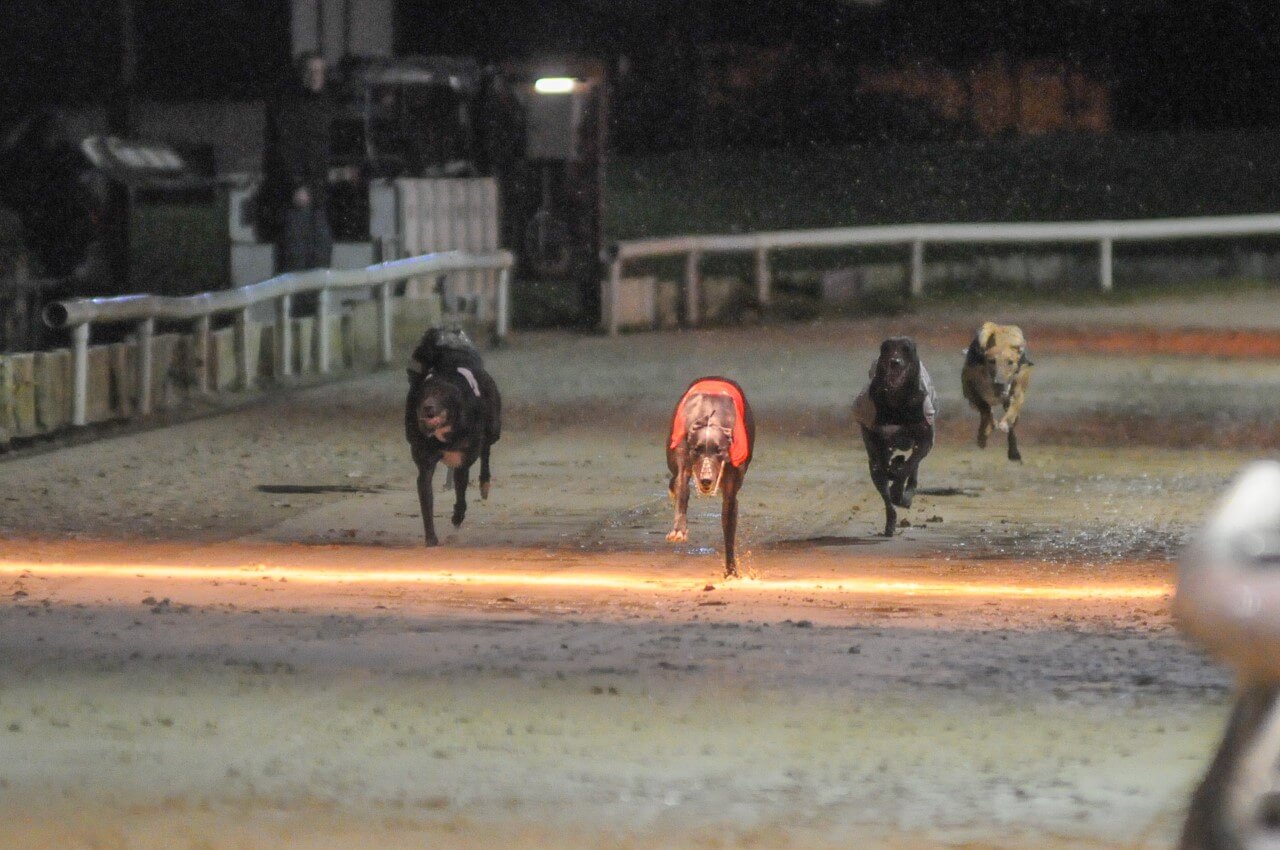 Bull Run Byte Wins English Oaks 2019