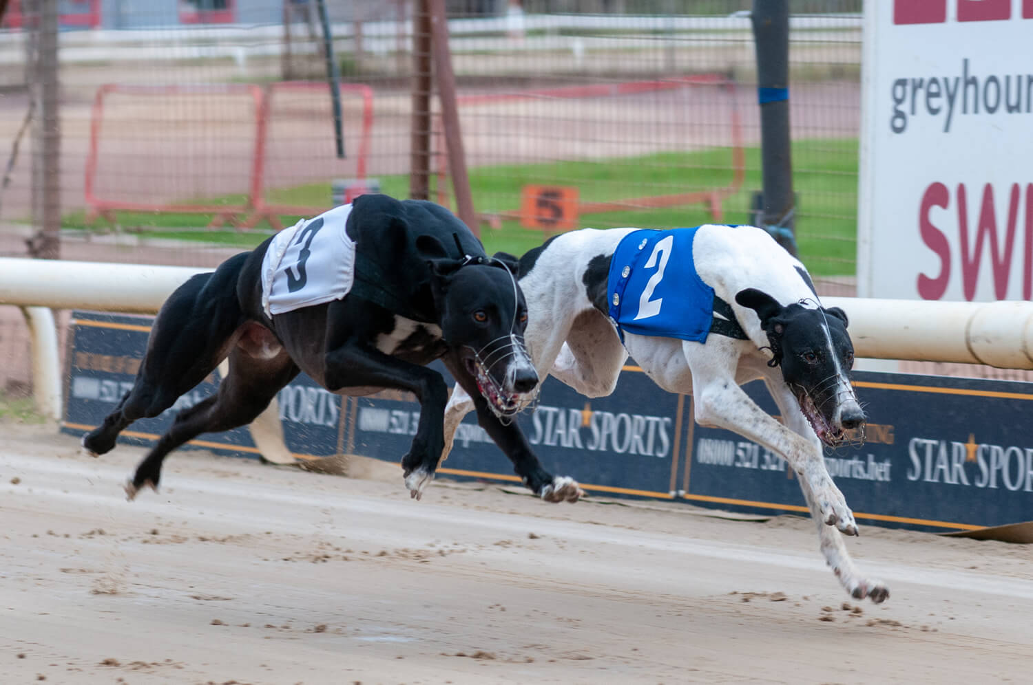 Houston Main & Liberty Belle – Produce Stakes Action 2