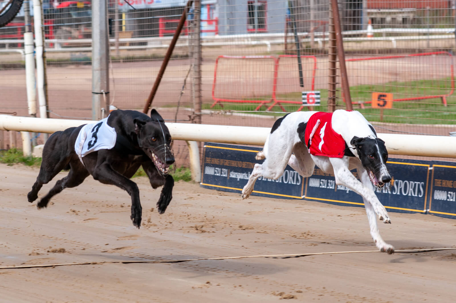 Liberty Belle – Produce Stakes Action