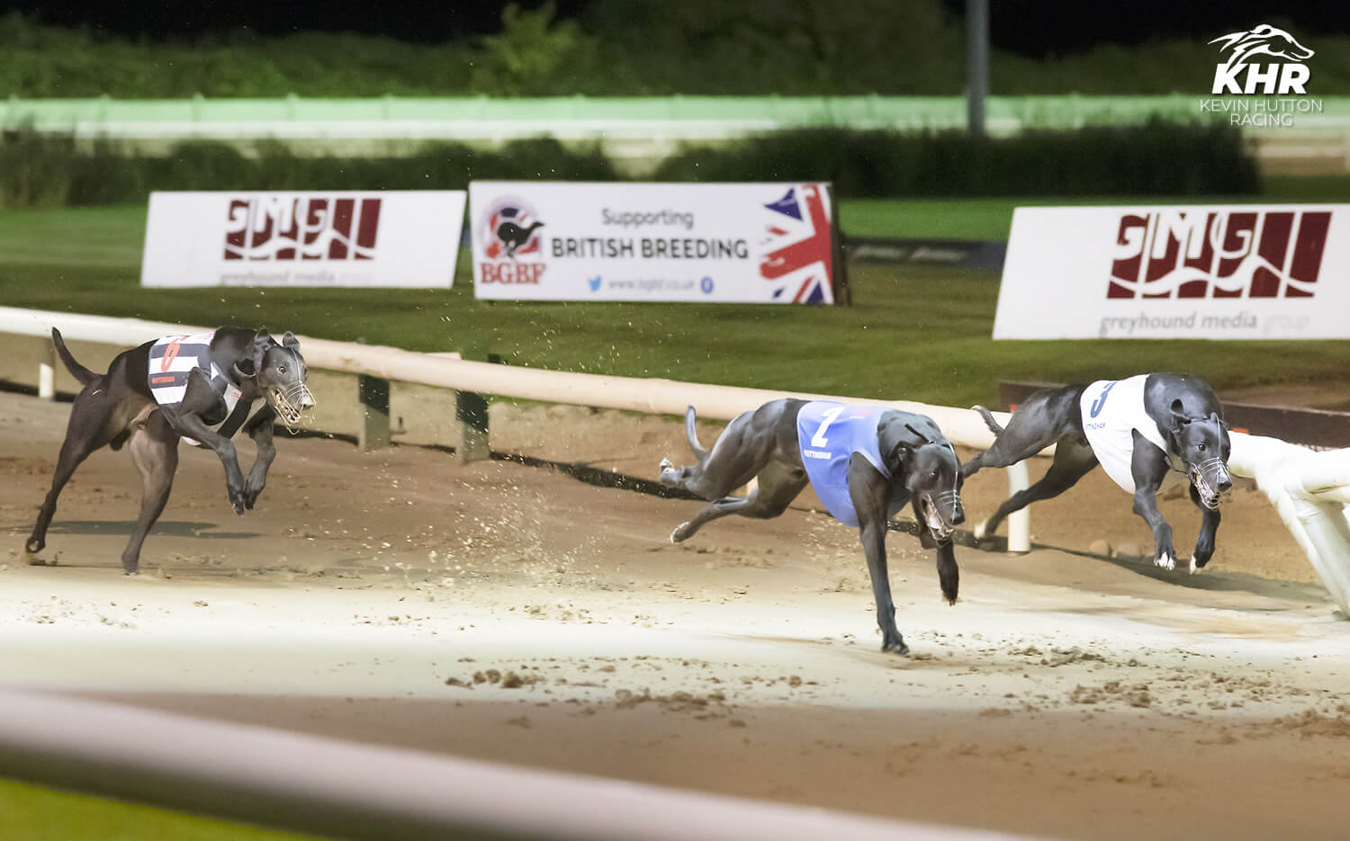 Signet Ace – Select Stakes