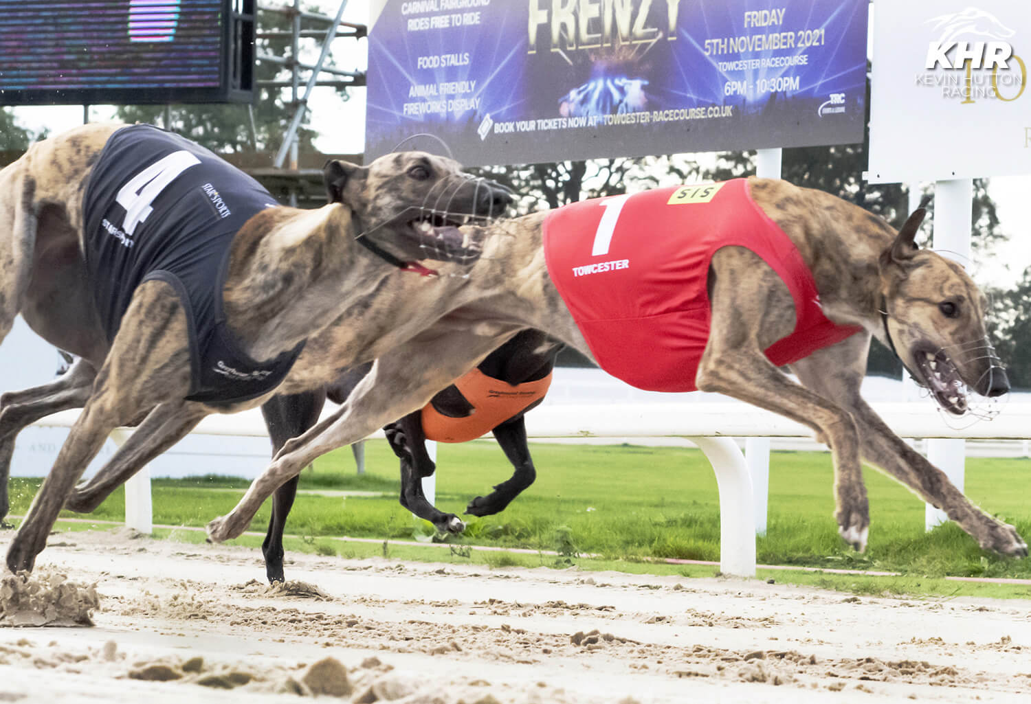 Moments Of Magic – BGBF Puppy Cup KHR