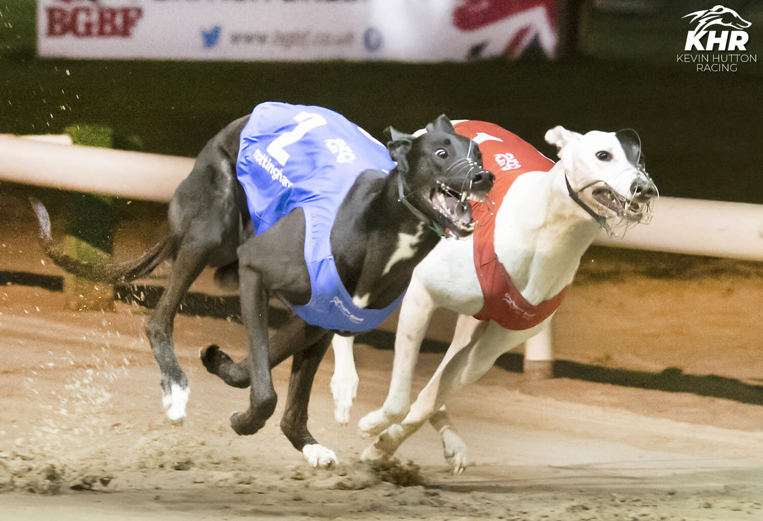 Signet Otis – British Breeders Stakes 2022